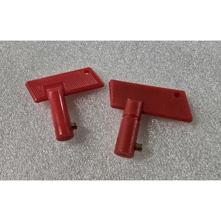 Zamienny klucz do głównego wyłącznika akumulatora (100 SZTUK)