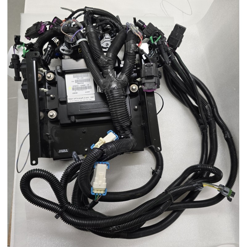 1751-6456 MERCURY (WOODWARD) MODUŁ STERUJĄCY ZE WSPORNIKIEM I KABLAMI (CCM1001)