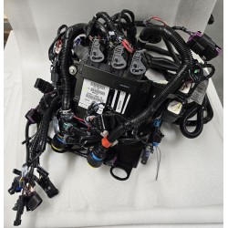 1751-6456 MERCURY (WOODWARD) MODUŁ STERUJĄCY ZE WSPORNIKIEM I KABLAMI (CCM1001)