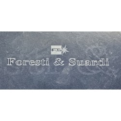 7095 FORESTI & SUARDI LAMPA ŚCIENNA POKOJOWA ODCHYLANA MOSIĄDZ (BEZ KLOSZA)