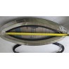 BOMAR BULAJ ELIPTYCZNY ok. 470x210MM Z MOSKITIERĄ (OUTLET)