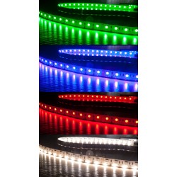 RGB5050+W OSRAM DURIS E3 TAŚMA LED RGB+W (BIAŁY ZIMNY) 5050 600 LED