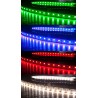 RGB5050+W OSRAM DURIS E3 TAŚMA LED RGB+W (BIAŁY ZIMNY) 5050 600 LED