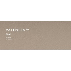 107-1048 SPRADLING VALENCIA SISAL