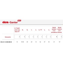 612-12-M20-BK-NI ELESA GANTER TRZPIEŃ USTALAJĄCY NIERDZEWNY GN612