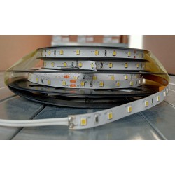 SMD2835 FLEX TAŚMA LED BIAŁA ZIMNA 24V 60LED/M 4,8W/M 6000K IP20 8mm 10 metrów